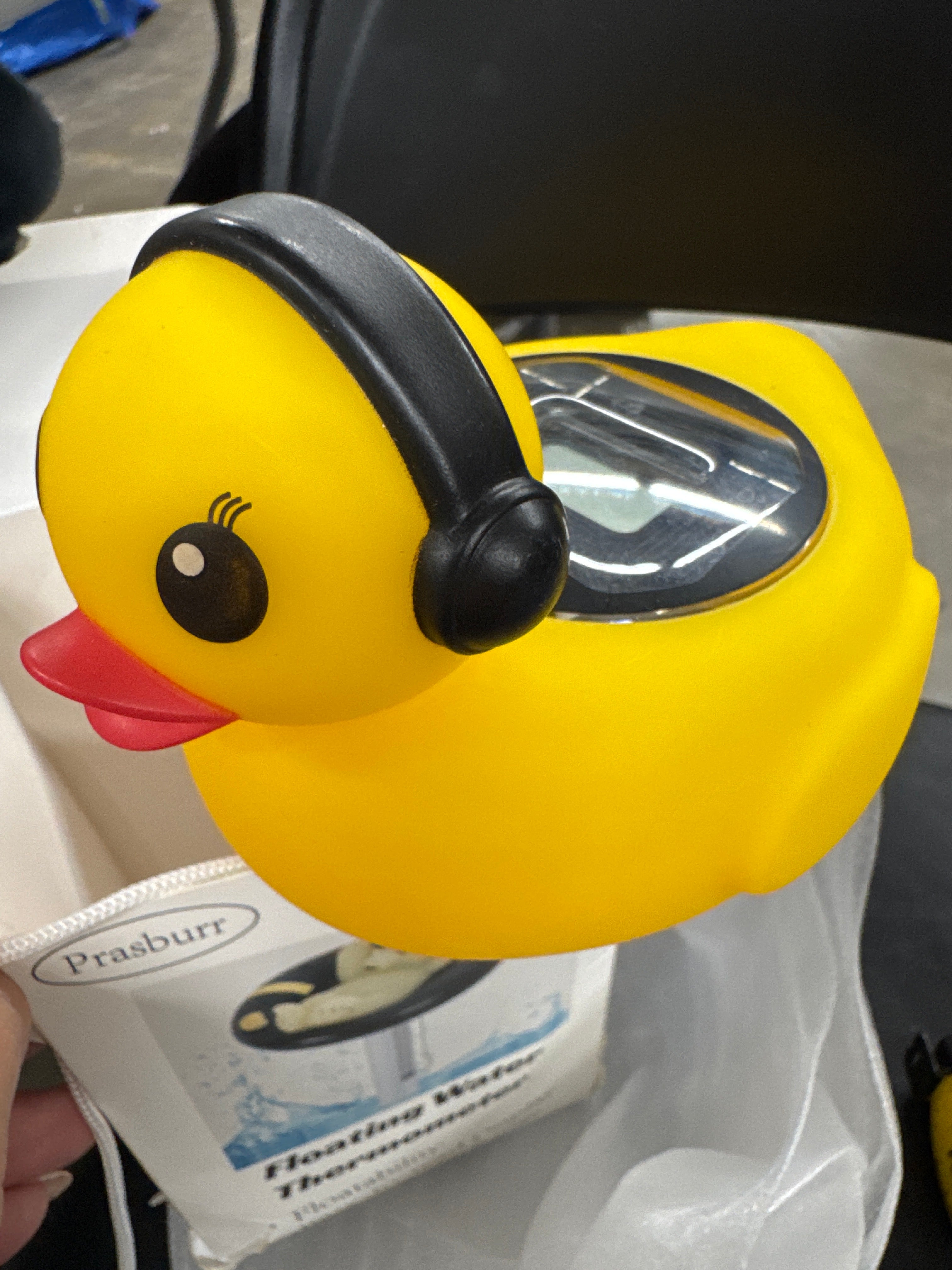 Ducky Floating Water Thermometer