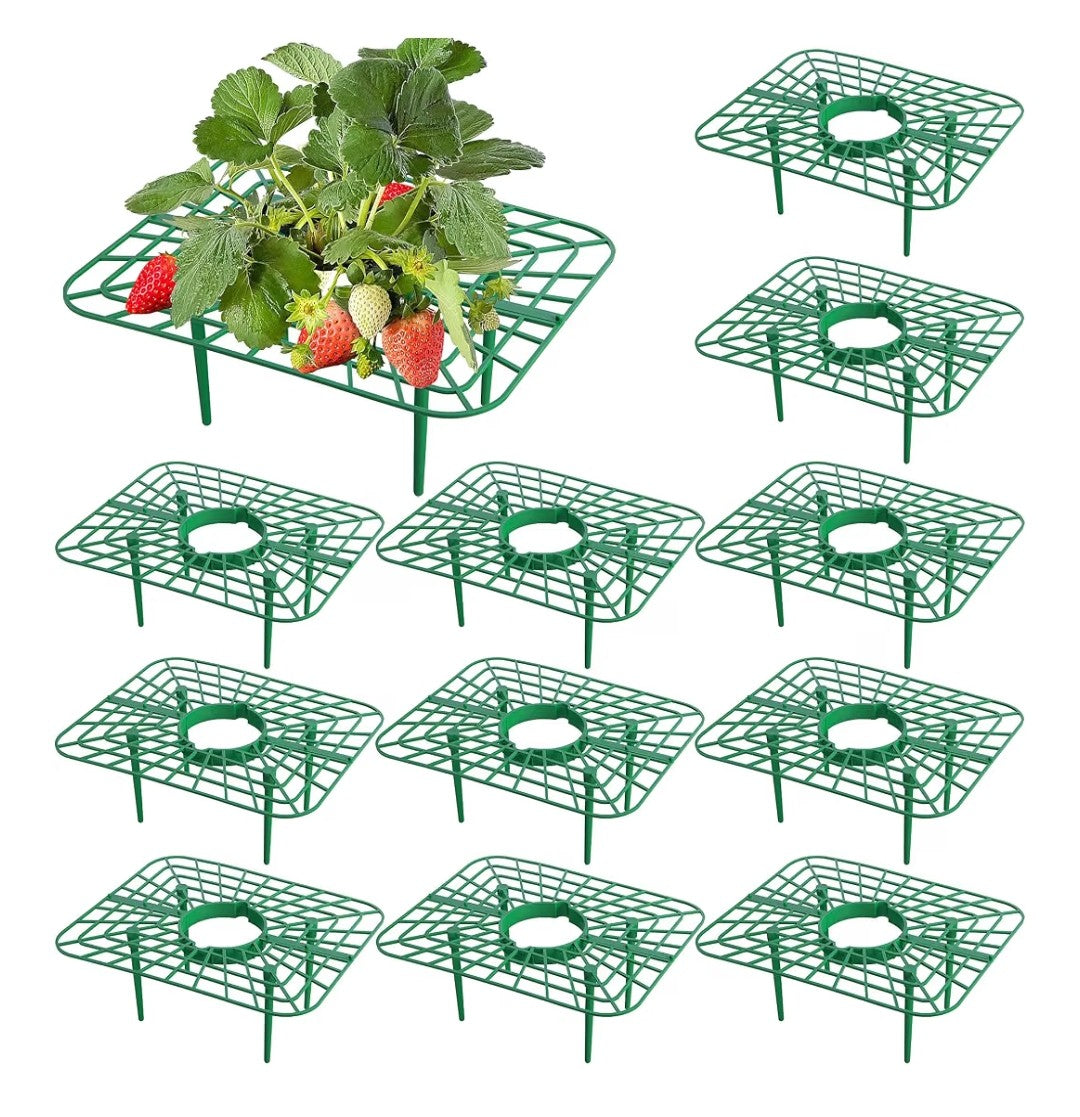 Strawberry Supports (15 pack)