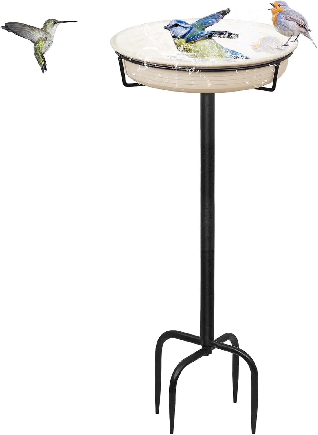 Bird Bath