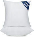 Throw Pillow (2 pack)