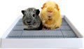 Rabbit Litter Box.