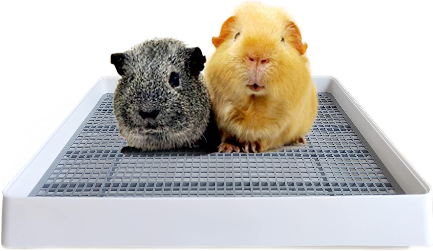 Rabbit Litter Box.