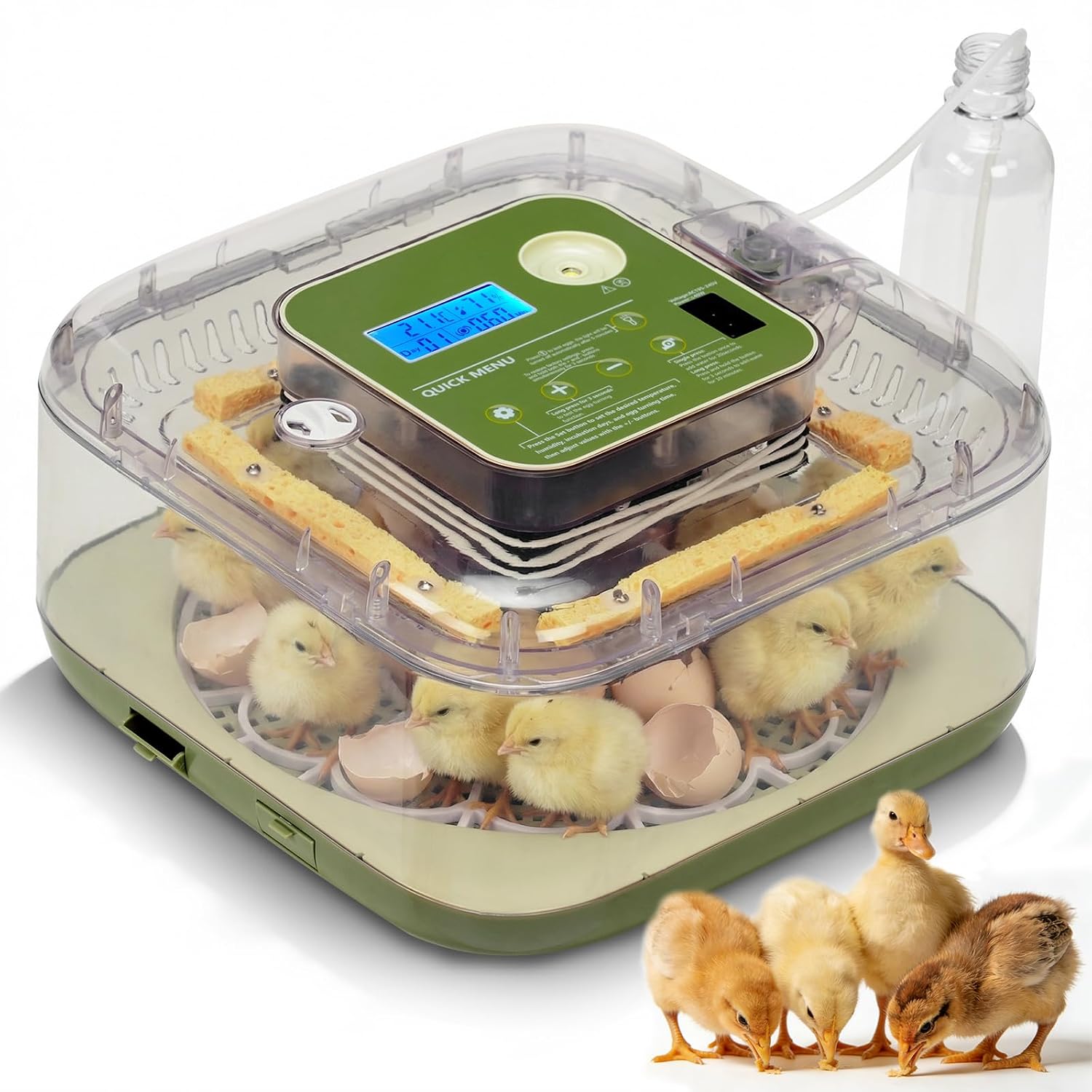 12 Egg Incubator.