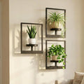 Picture Frame Wall Planters set of 3