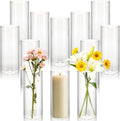 12 Pack Of Clear Cylinder Glass Vases.