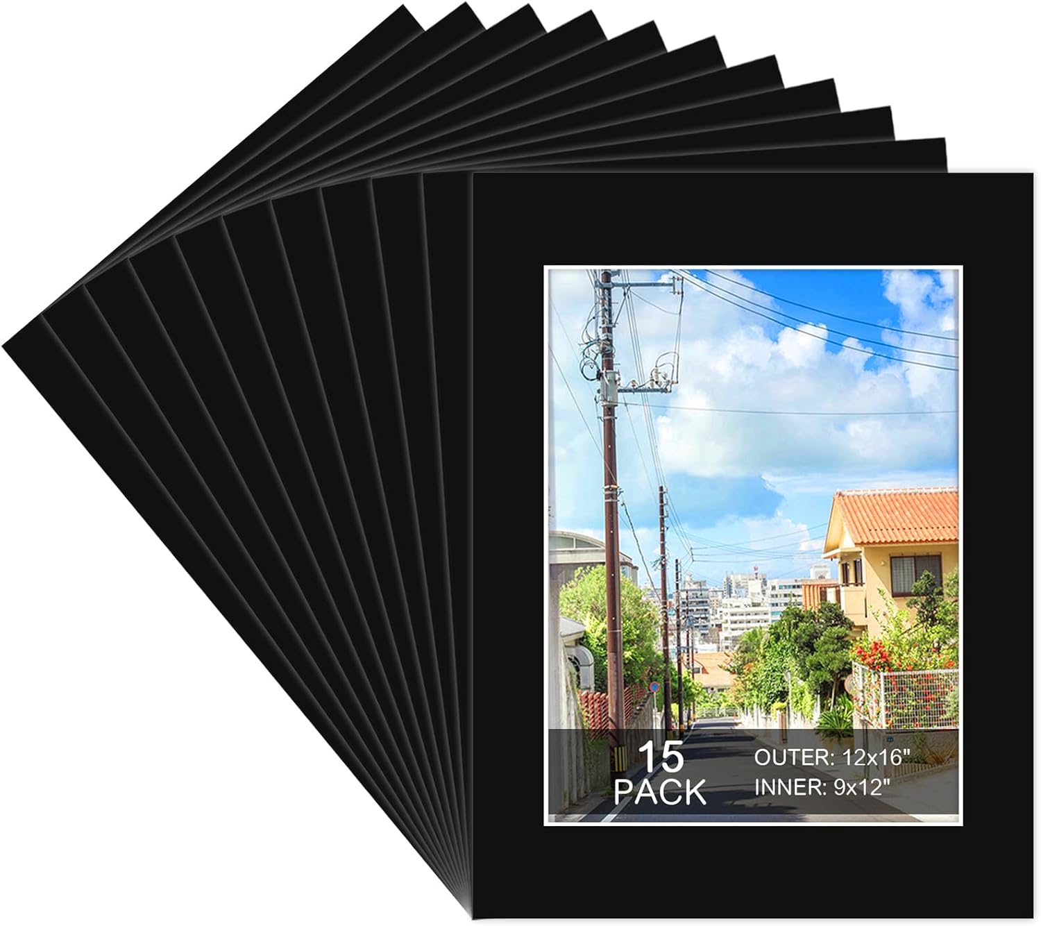 Picture Frame Mats 12x16 (15 pack)
