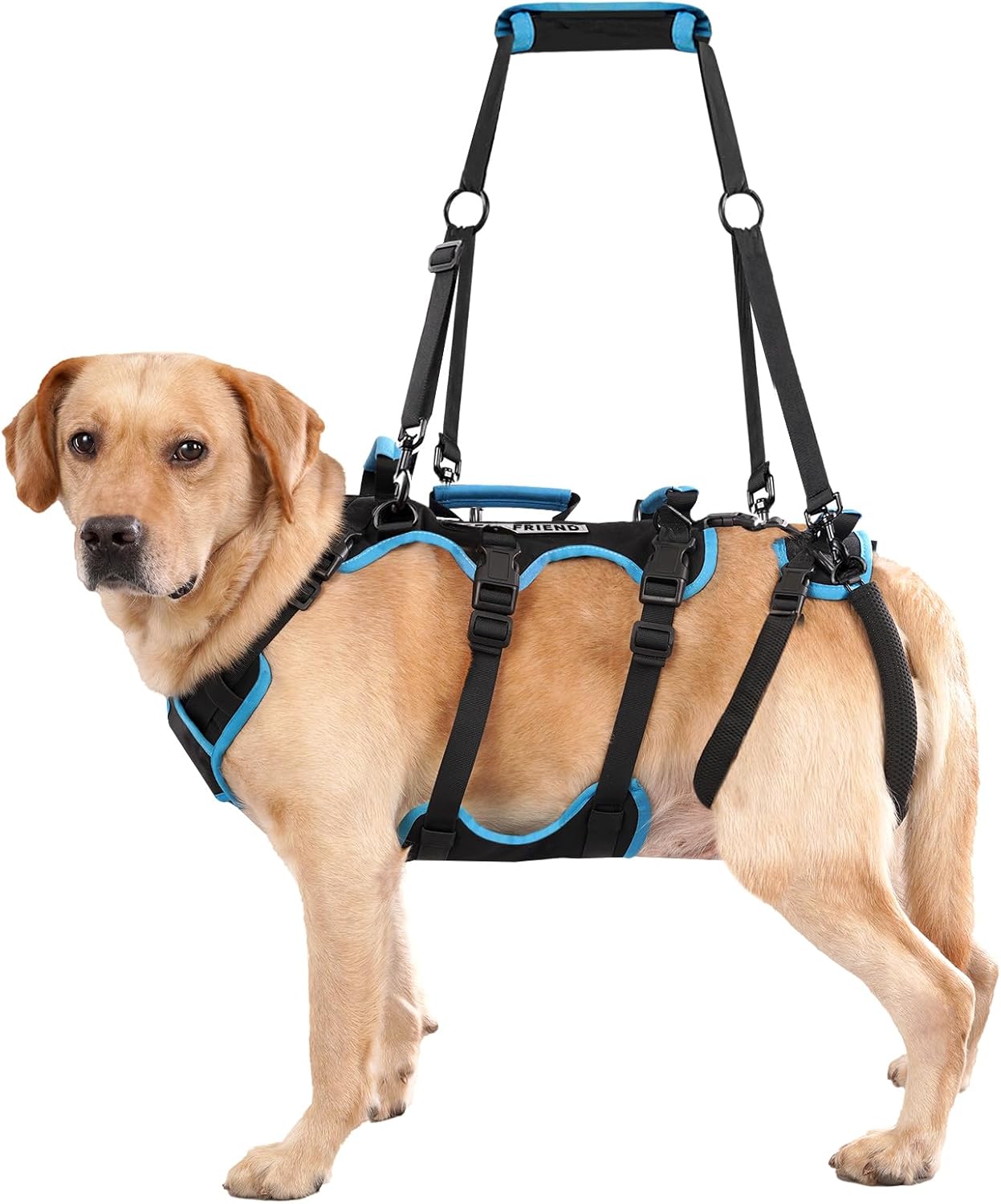 Dog Lift Harness.