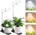 Grow Light For Indoor Plants.