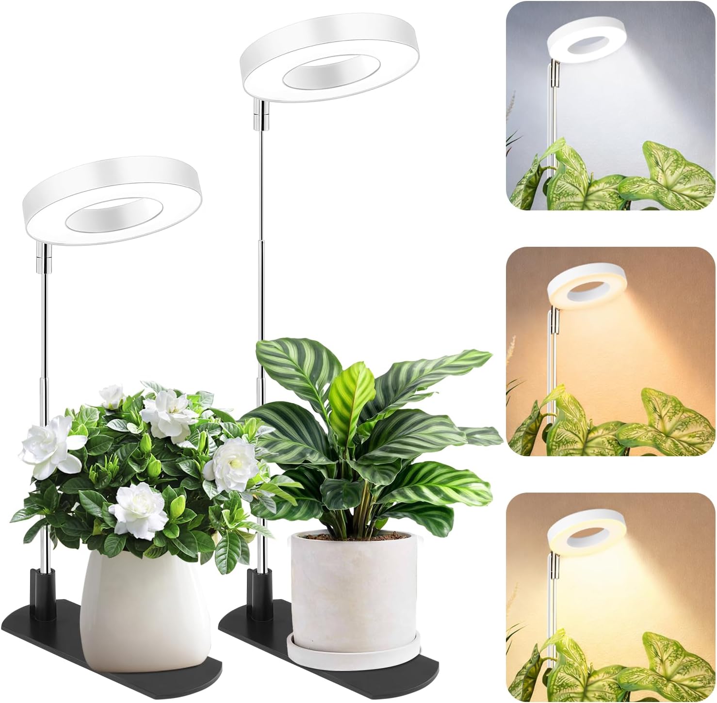 Grow Light For Indoor Plants.