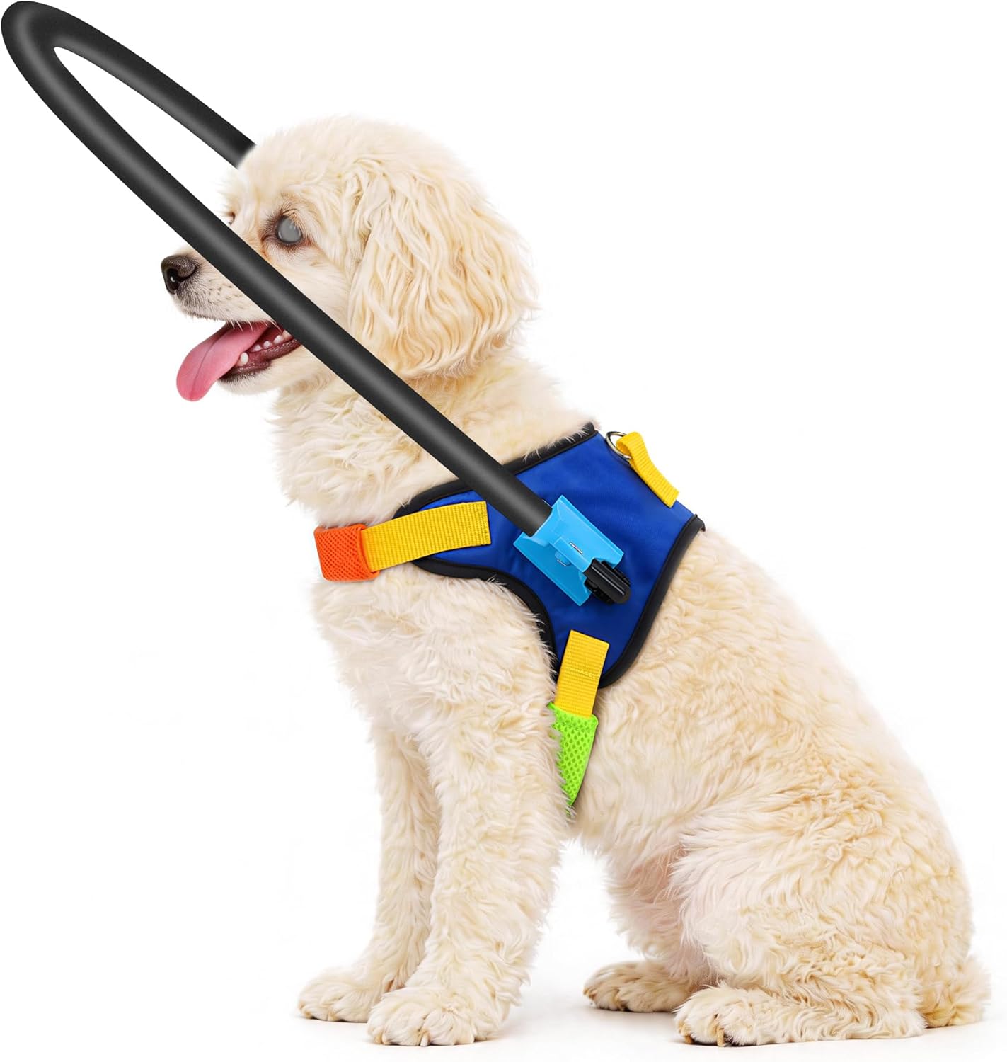 Blind Dog Halo Harness