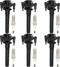 Ignition Coil and Spark Plug Kit.