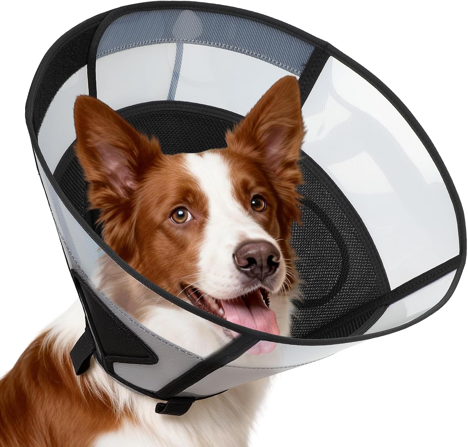 Soft Dog Cone Collar For Medium sized Dogs.