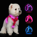 Light up Dog Harness For Small Dog.