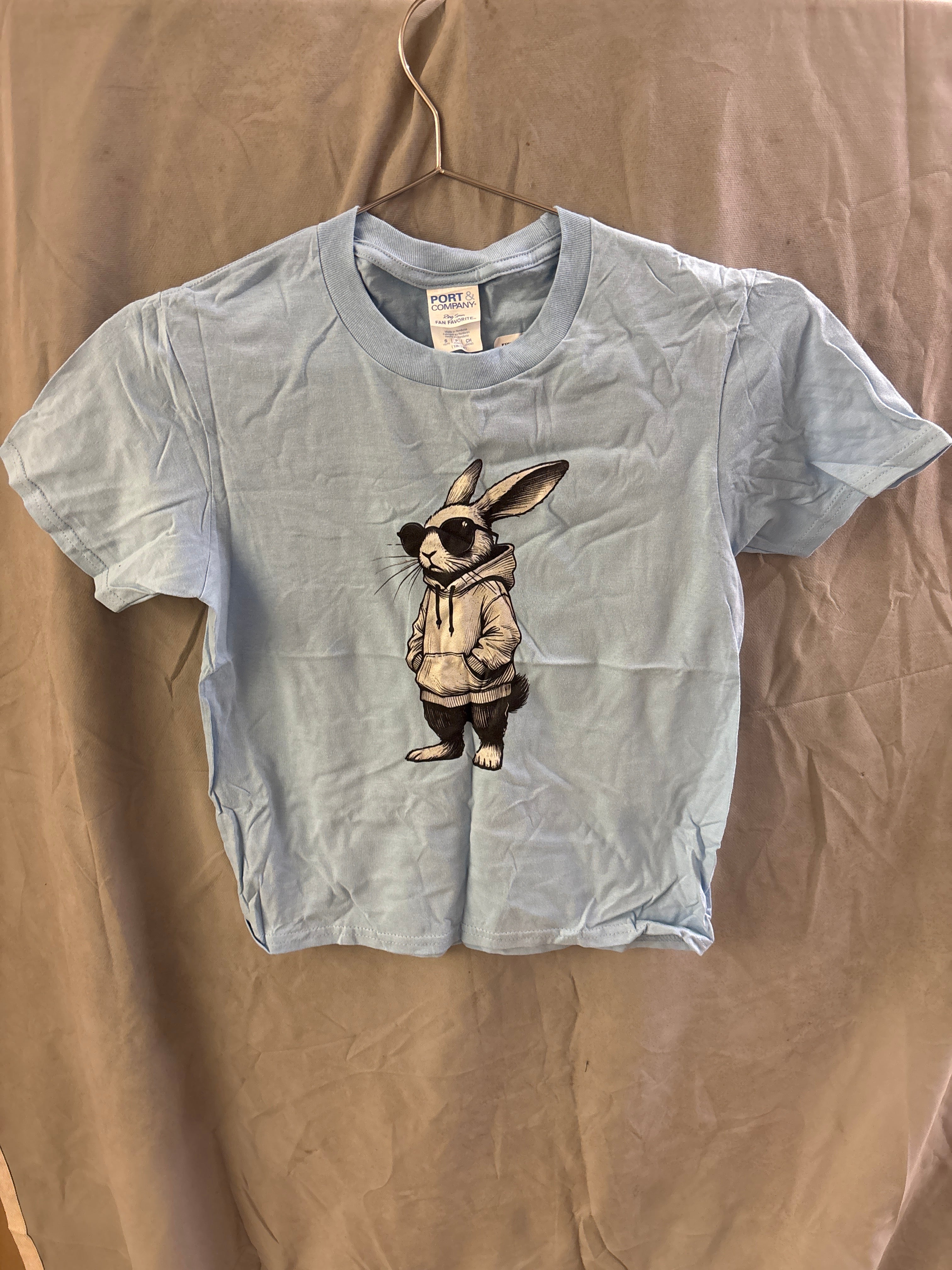 Bunny wearing a hoddie tshirt