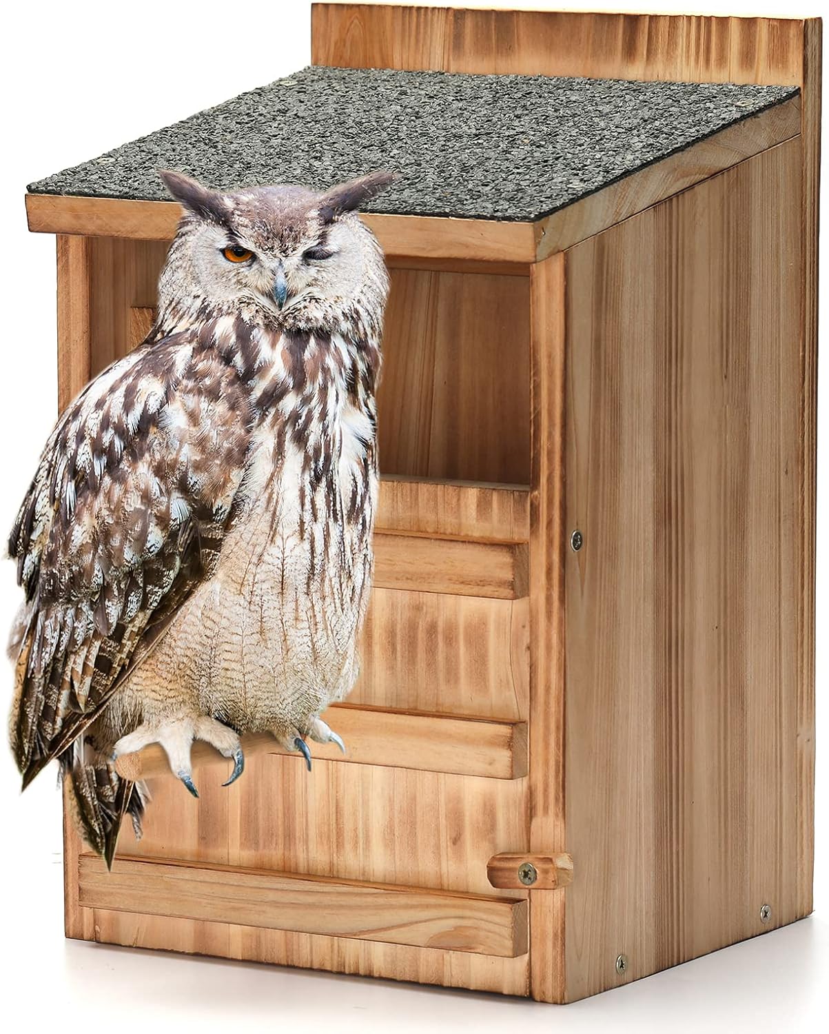 Cedar Owl Nesting Box