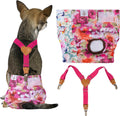 CuteBone Dog Diapers