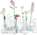 Glass Bud Vases (12 pack)