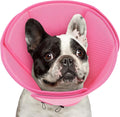 Queenmore Soft Dog Cone Collar