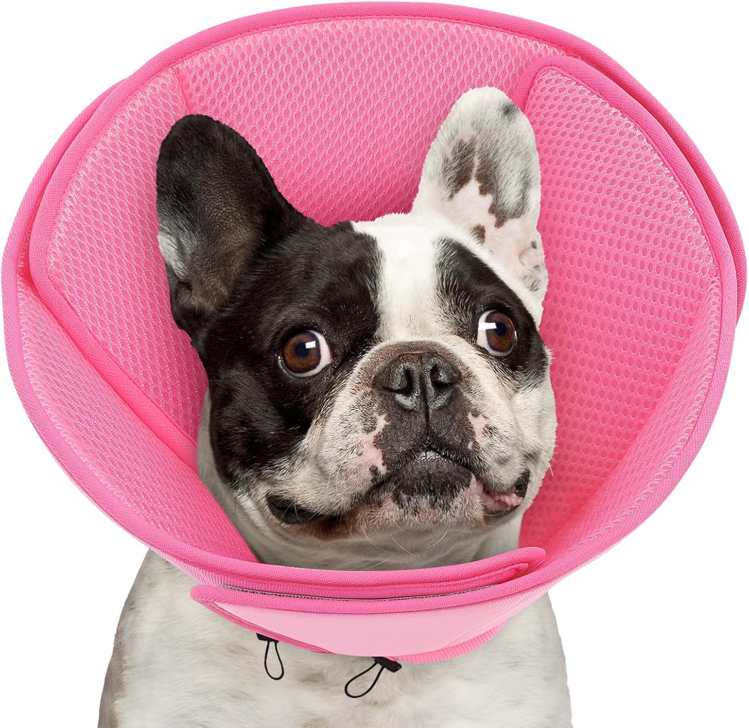 Queenmore Soft Dog Cone Collar