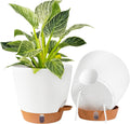 Fielda 2 Pack 8 Inch Pots for Plants Indoor, Plastic Self Watering Planters with Drainage Holes, Water Level Indicator & Deep Reservoir, Decorative Flower Pots Indoor Outdoor Use (White