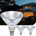 Halogen Flood Light Bulb (2 pack)