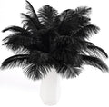 THARAHT Black Ostrich