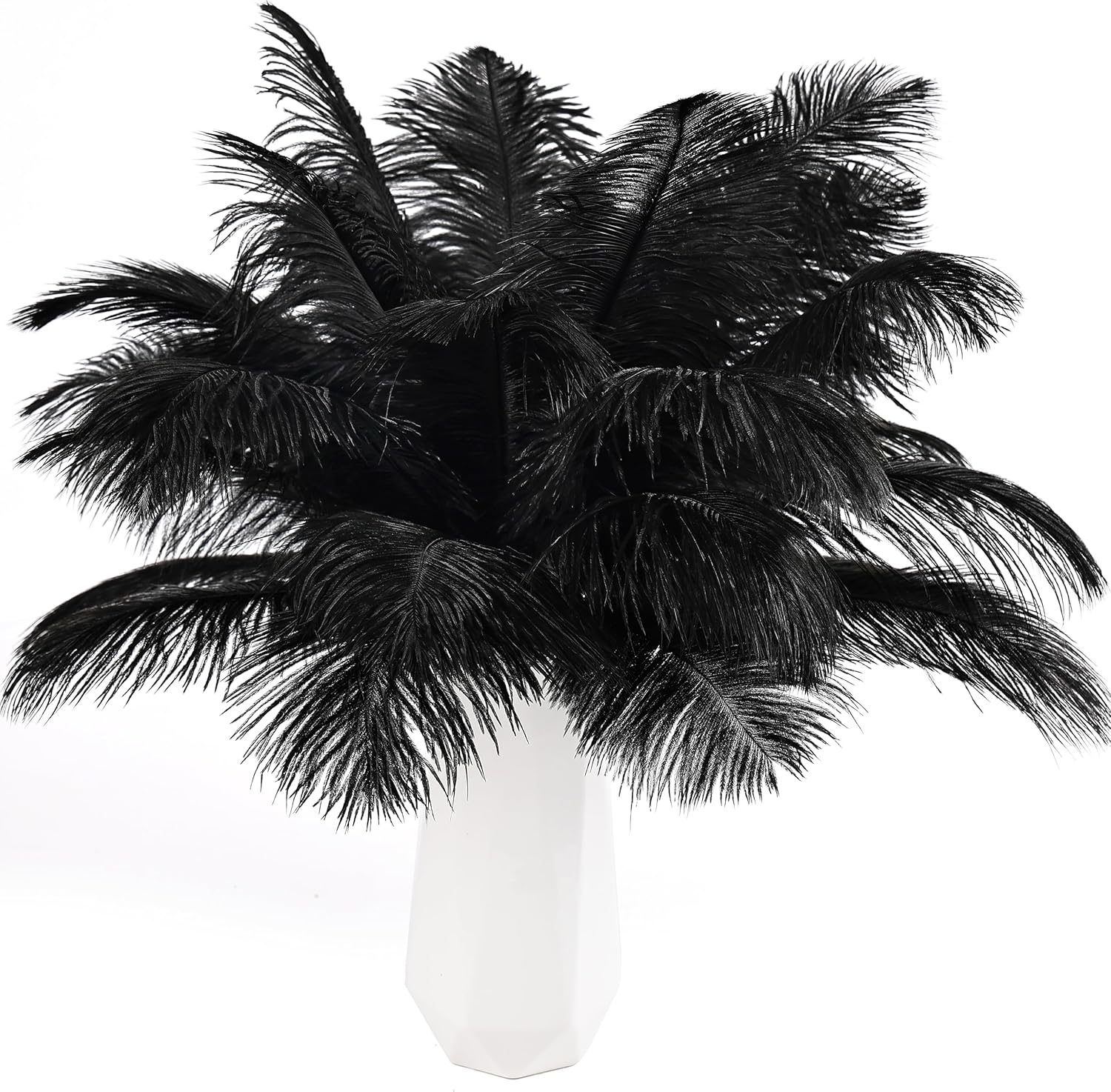 THARAHT Black Ostrich