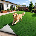 Indoor Grass Potty Mat. 30”x20”