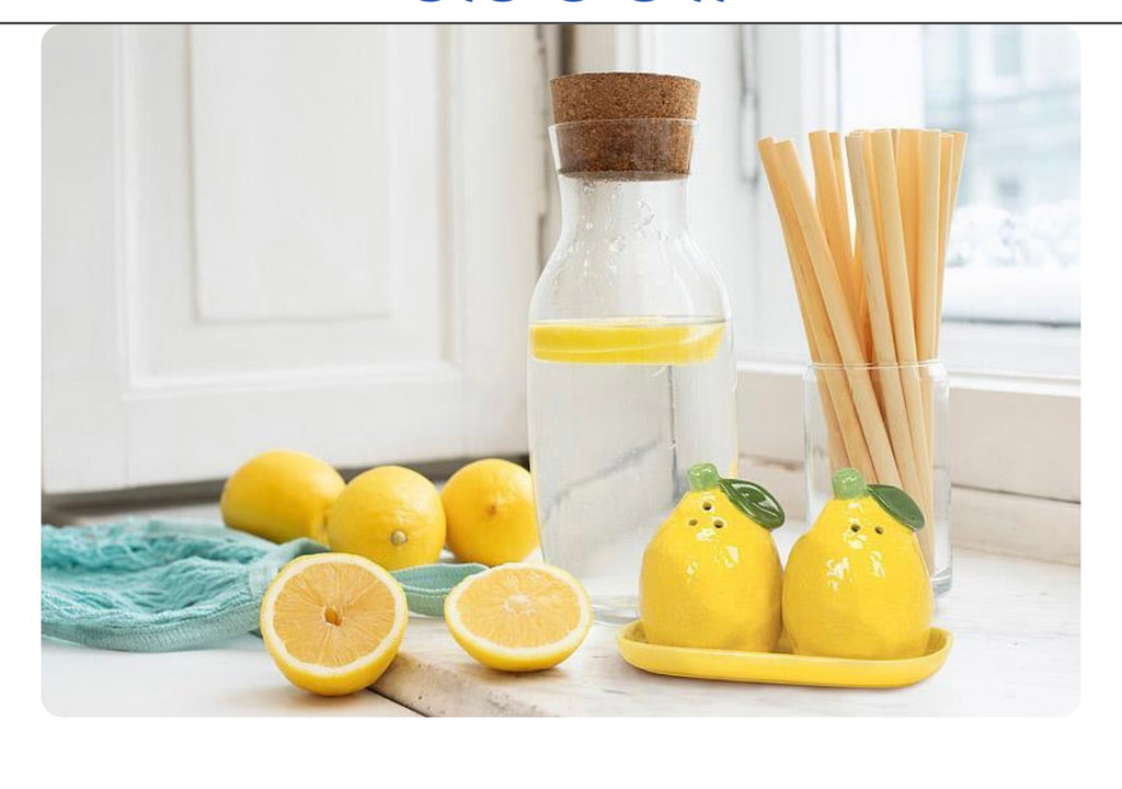 Abbott Lemon Salt and Pepper Shakers.