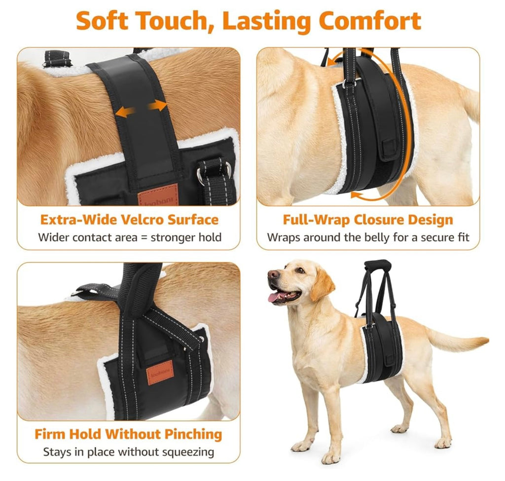 Loobani Dog Lift Harness For Back Legs.