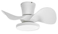 Ocioc Quiet Ceiling Fan With LED Lights.