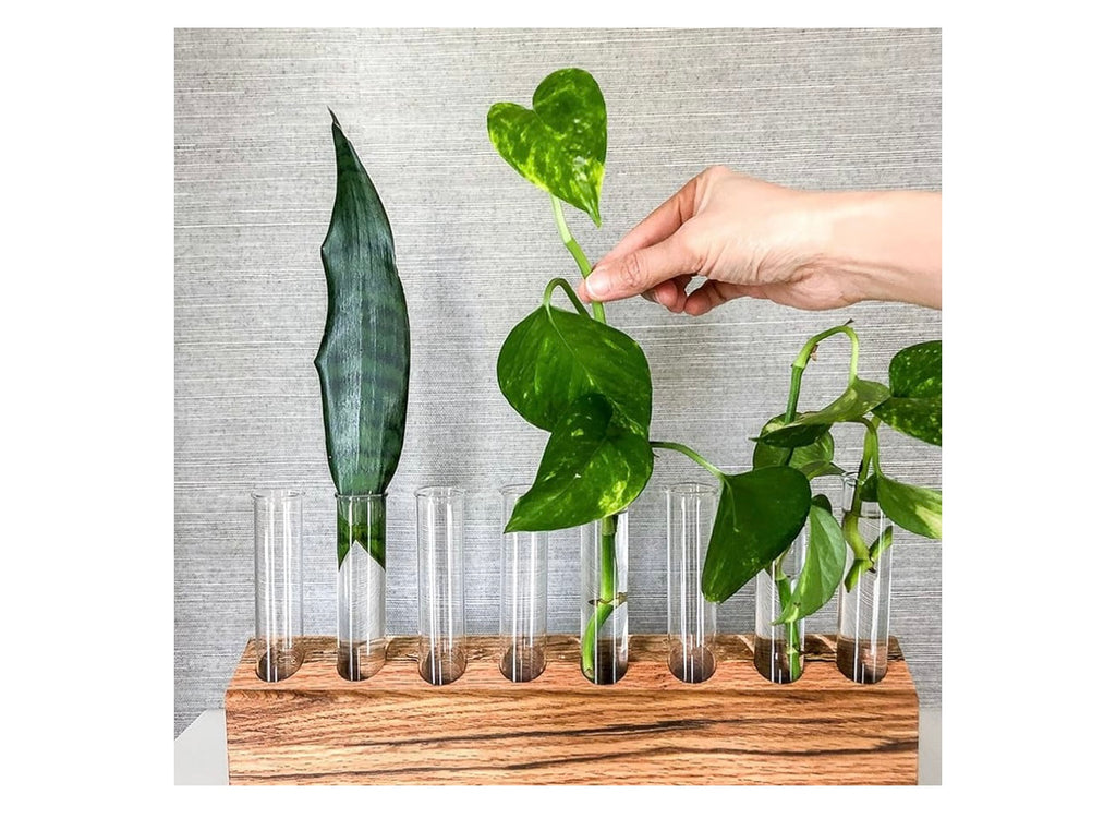 25piece 50ml Glass Test Tubes.