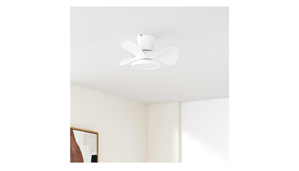 Ocioc Quiet Ceiling Fan With LED Lights.