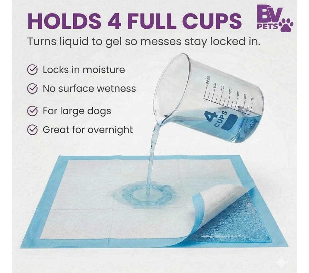 BV 40 Count pet training pads.