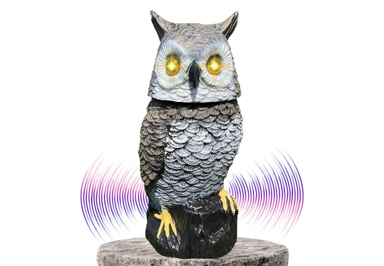 Owlery Solar Garden Owl.