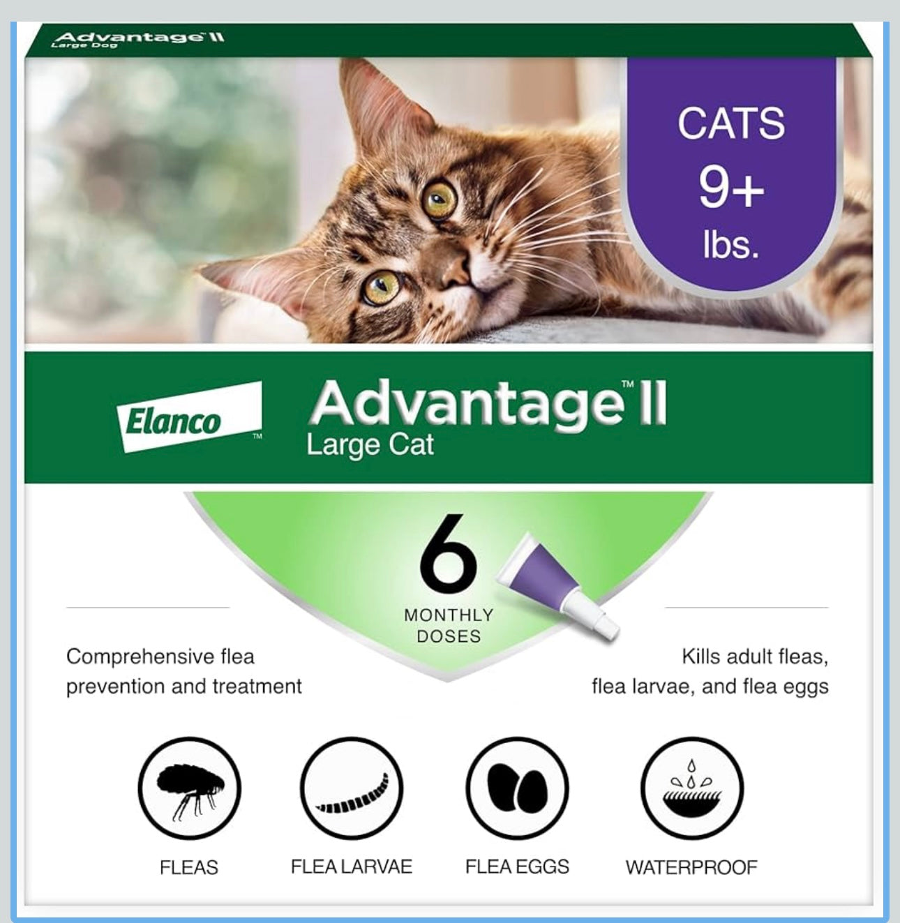 Bayer Advantage ll Large Cat 6 Monthly doses damaged box