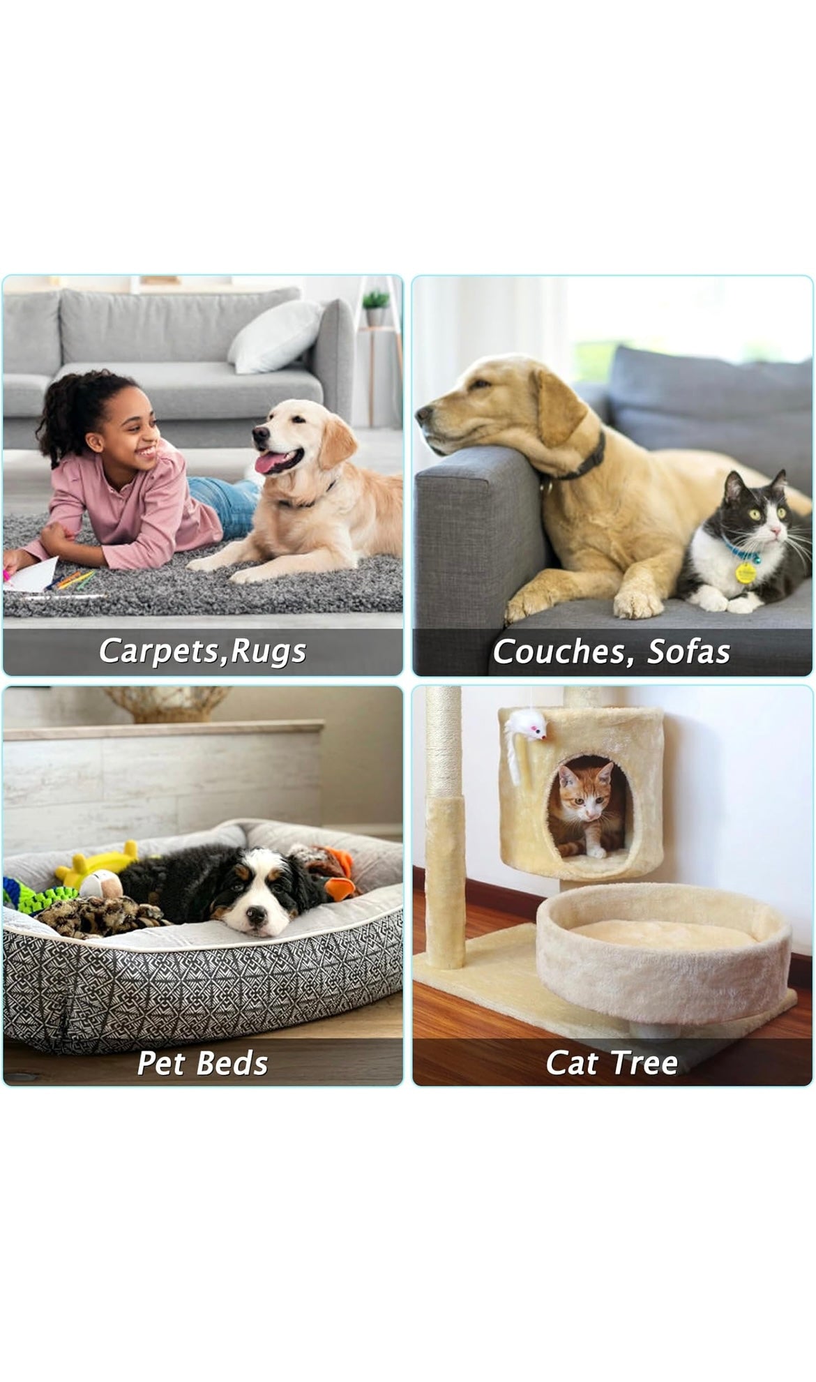 Pet hair removal broom
