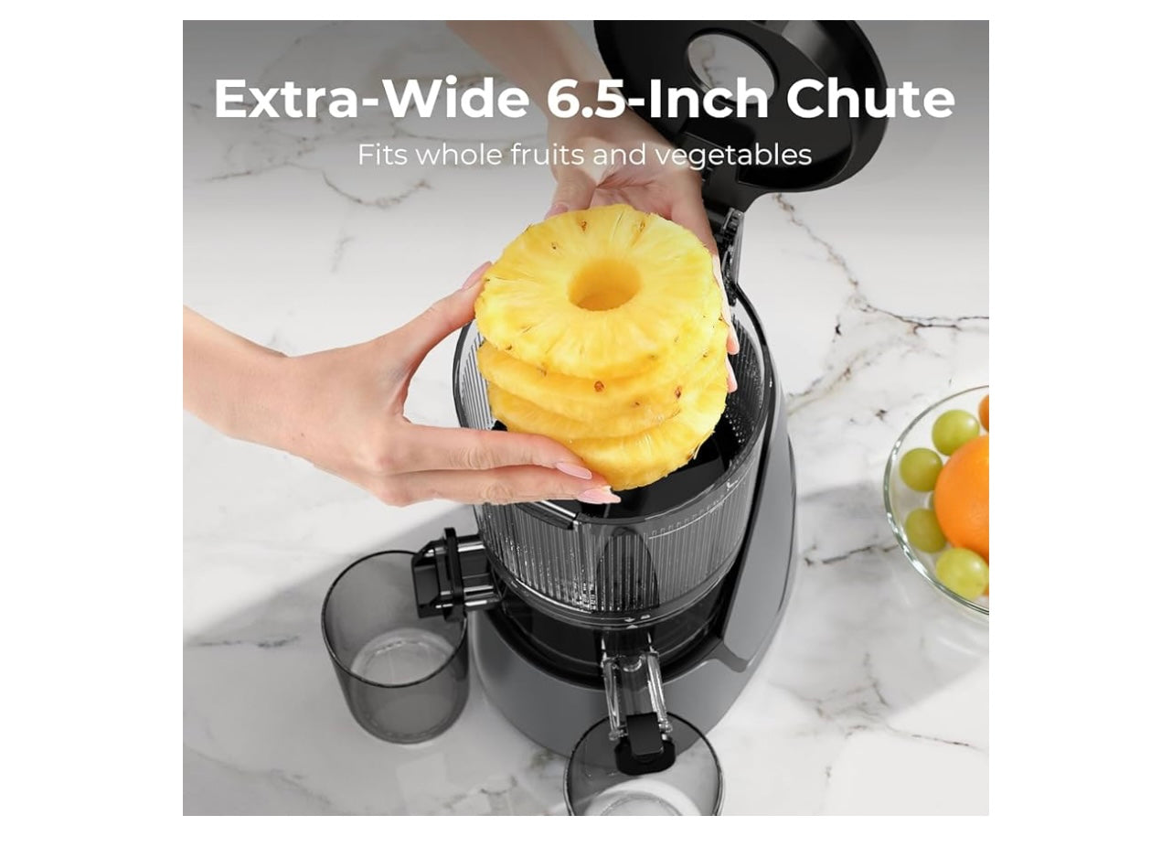 Ecoself j6 Slow Juicer.