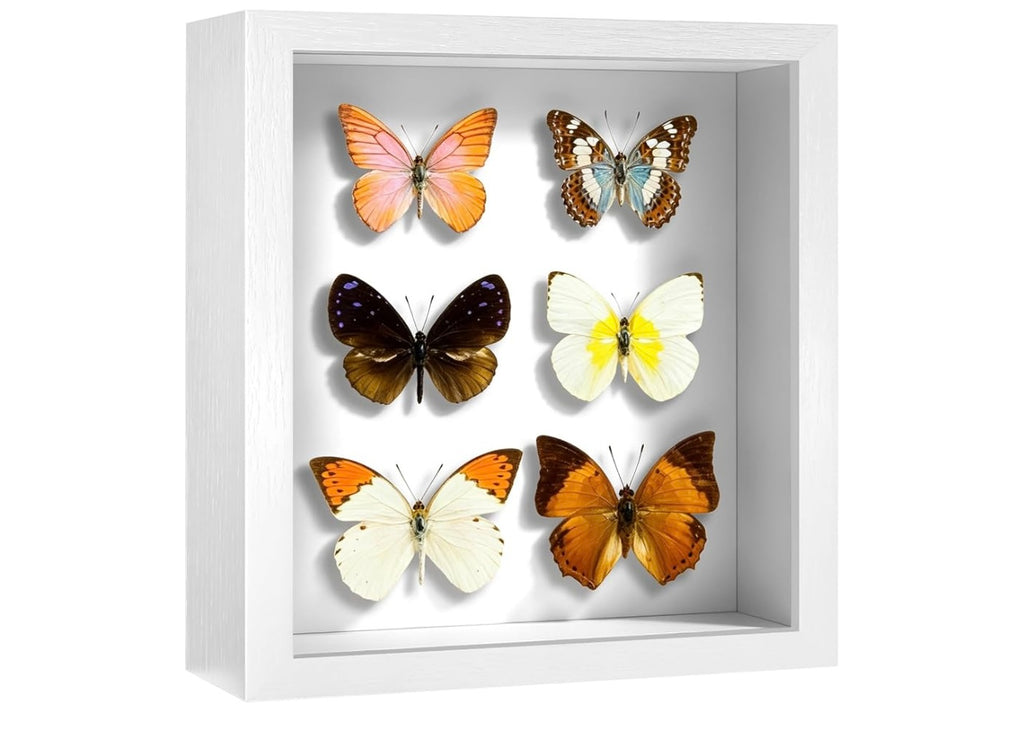 Shadow Box Frames.