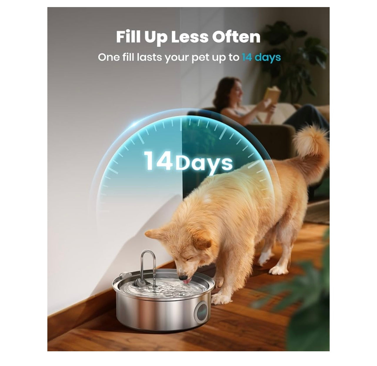 Oneisall Dog Water Fountain.