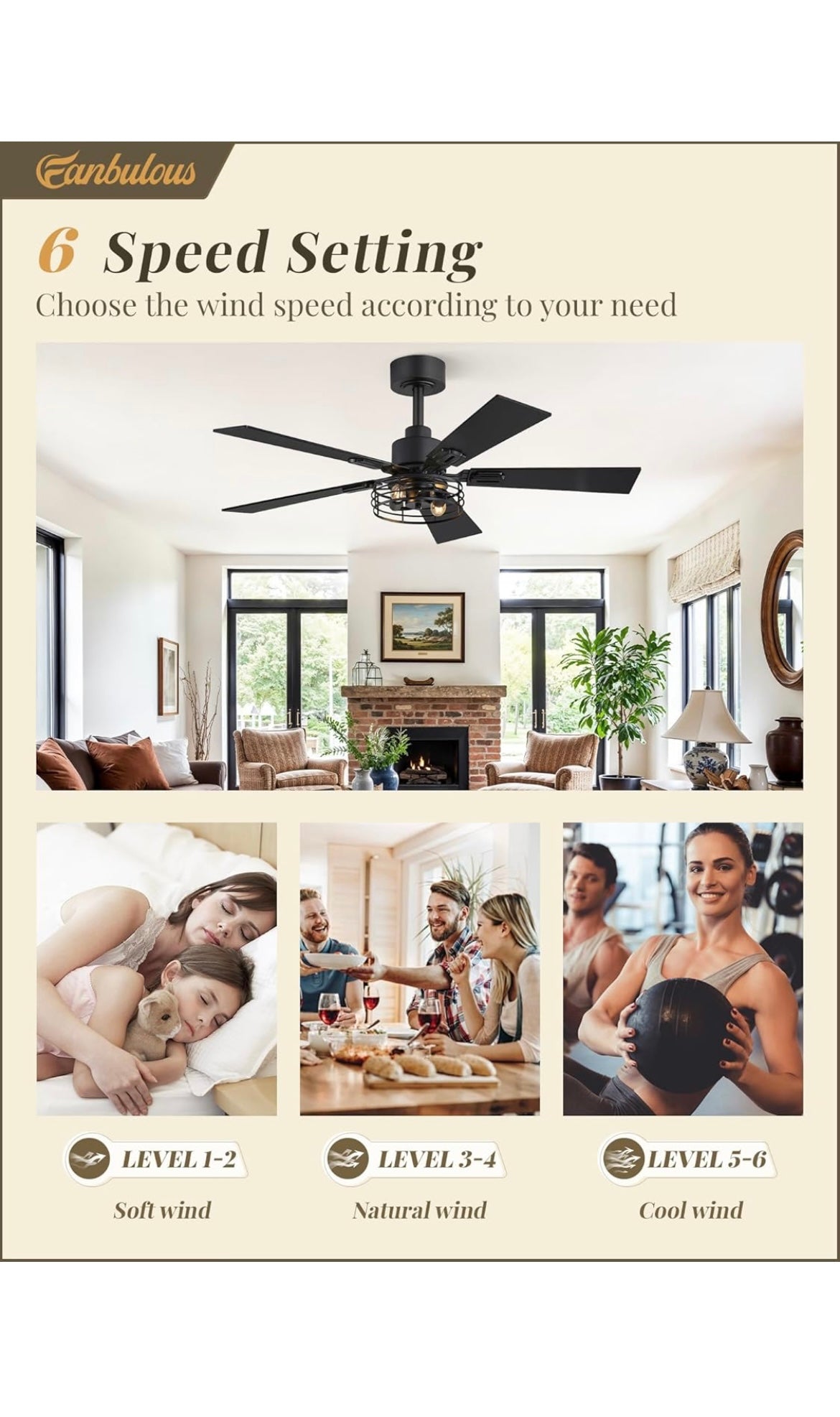 Ceiling fans 42 inch with lights 2 pack