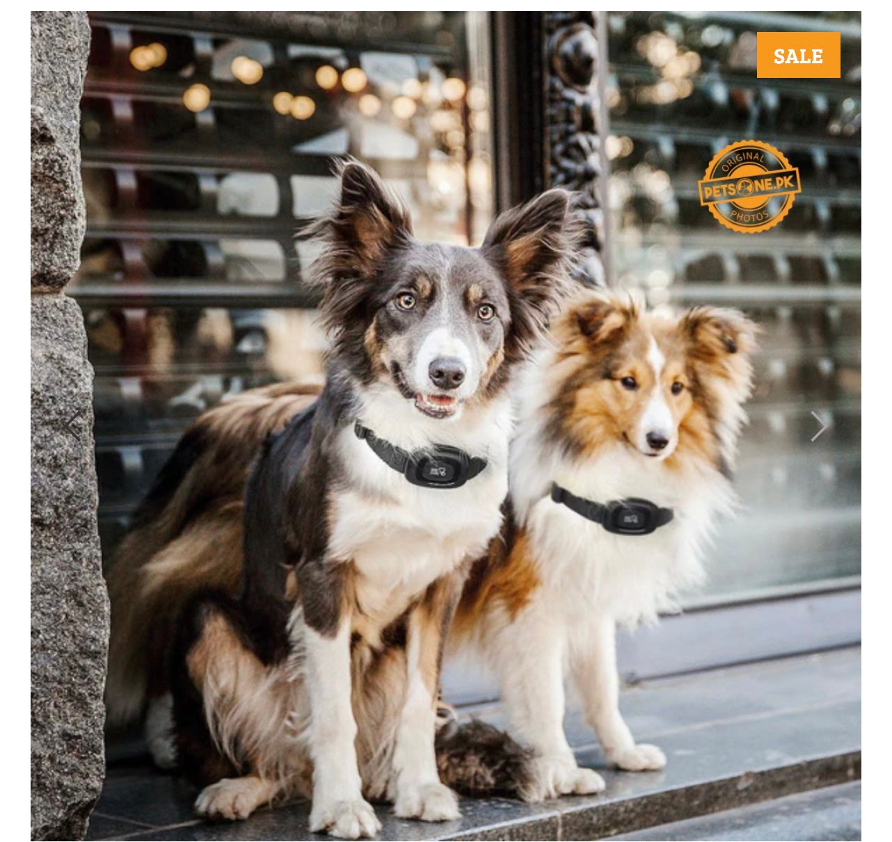 Well-D LE Dog Training Collar.