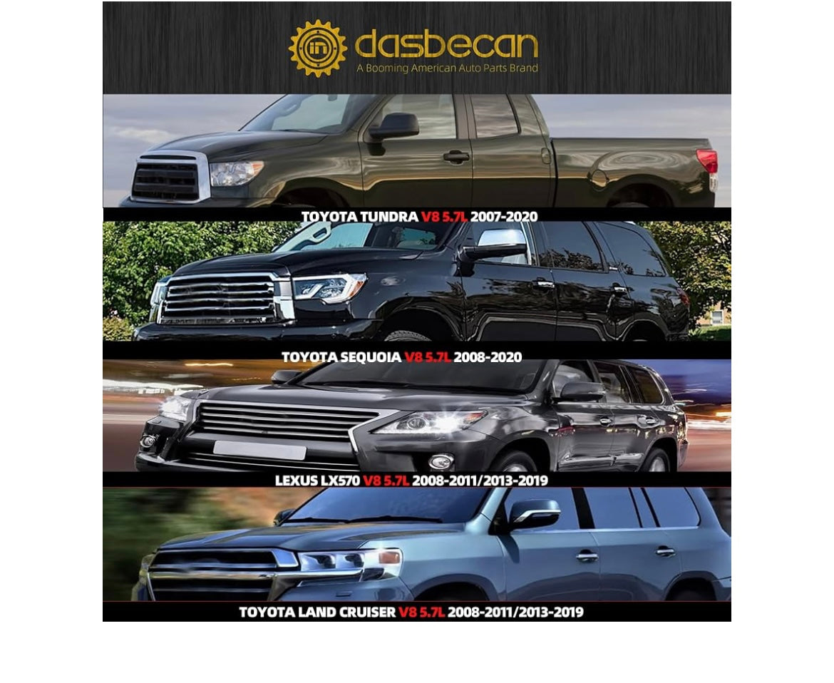 Dasbecan secondary air injection check valve