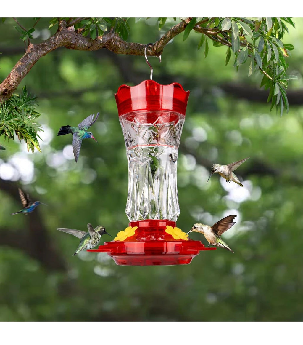 Bolite Glass Hummingbird Feeder.