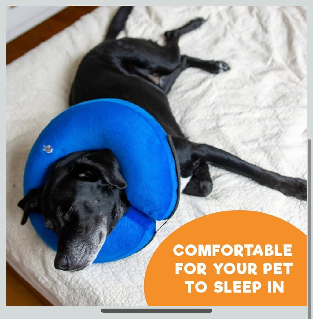 Inflatable dog cone collar