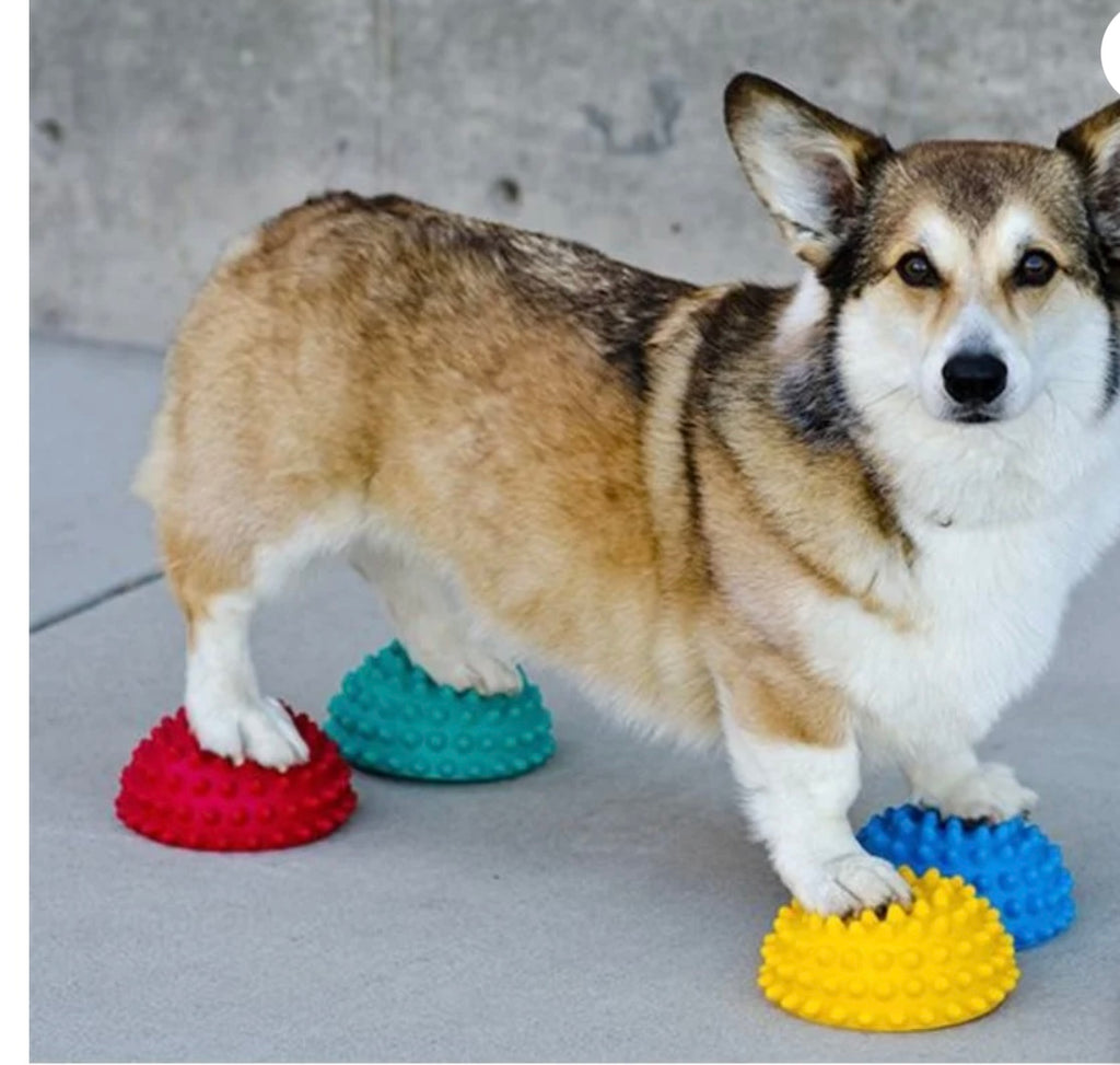 Fit paws Paw Pods With Anti Slip Bottoms.