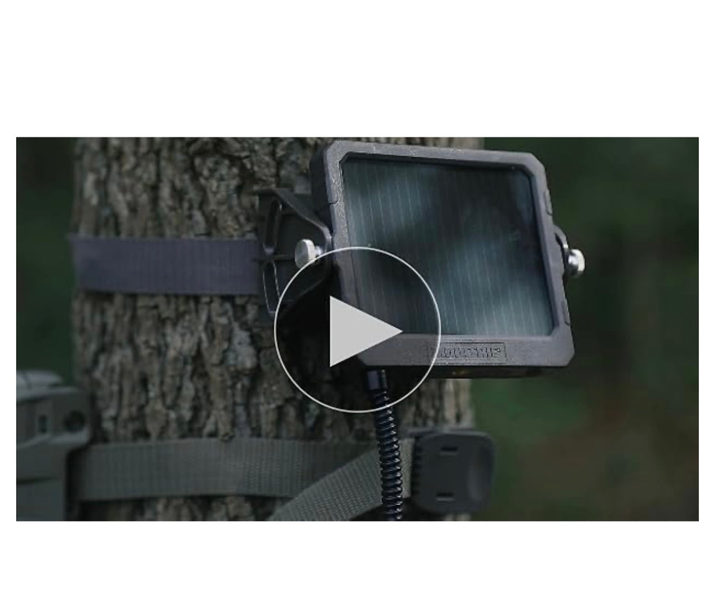 Moultrie 6v/12v Battery Charger For Feeders.