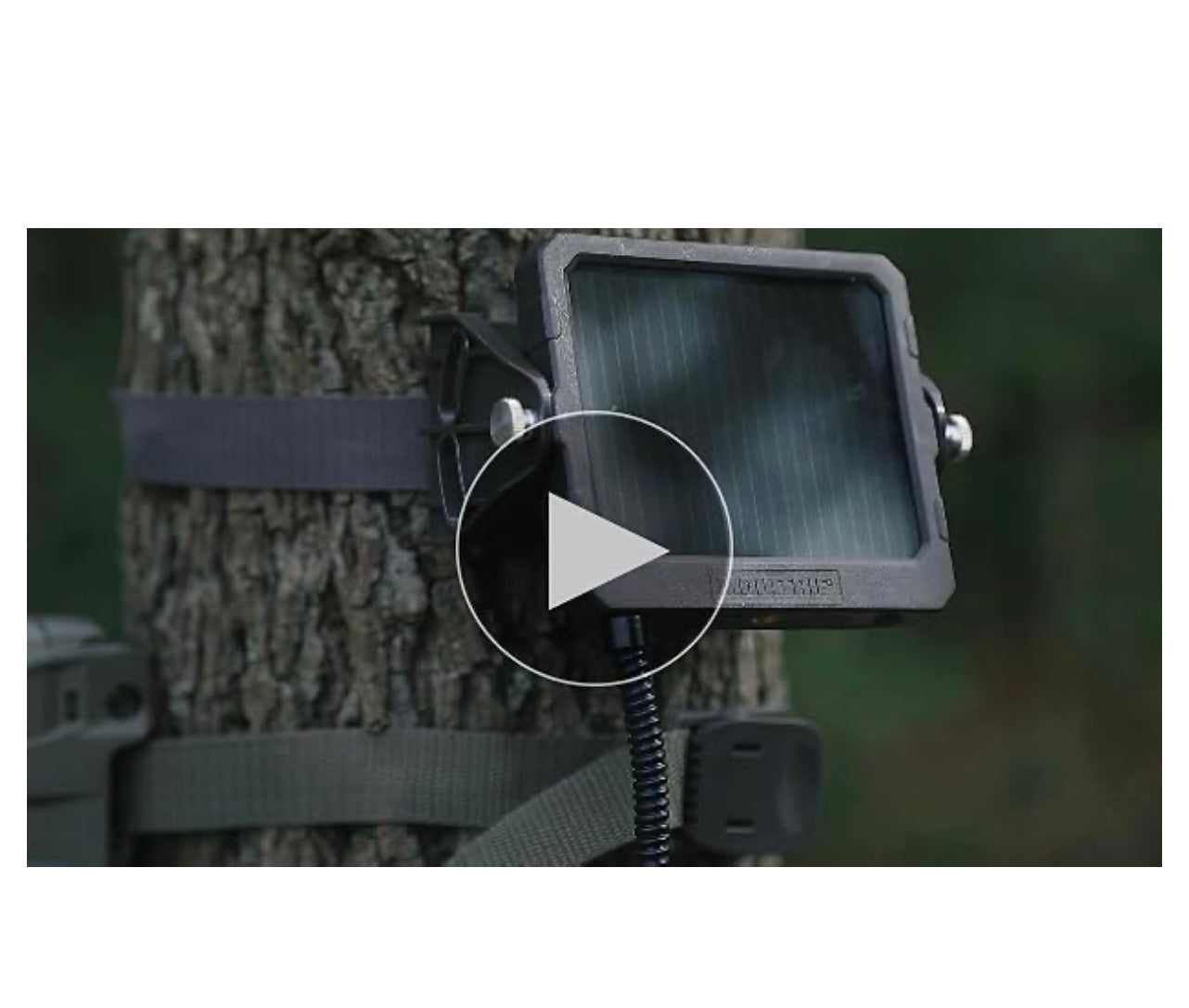 Moultrie 6v/12v Battery Charger For Feeders.