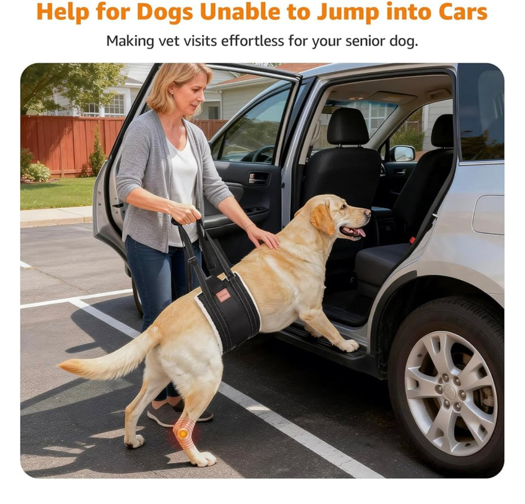 Loobani Dog Lift Harness For Back Legs.