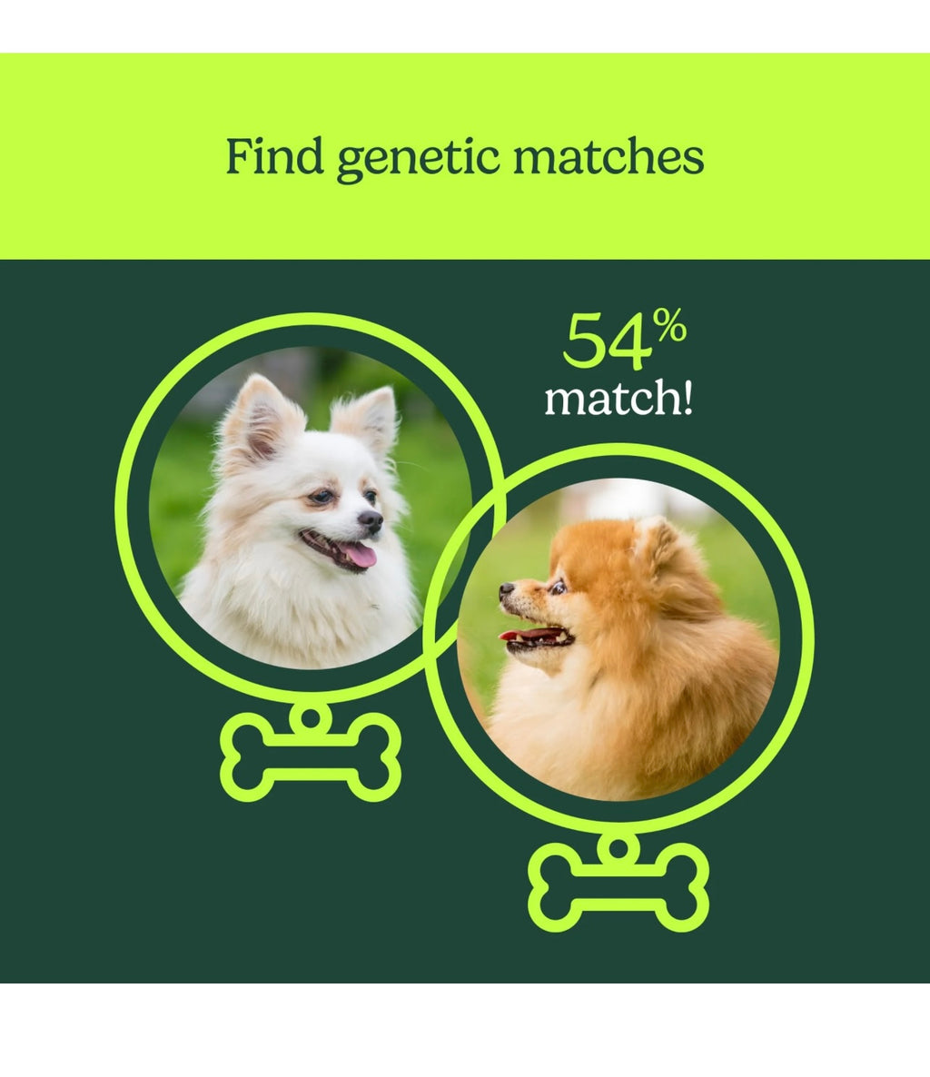 Know your Pet DNA By ancestry